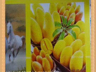高速纸箱印刷机 纸箱印刷样品 印刷