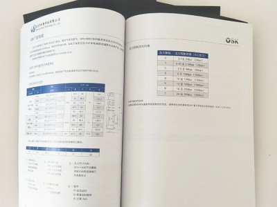 【英诺】 画册彩印 公司宣传画册印