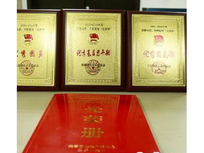 荣誉册烫金印刷厂家021shubin光荣册印刷制作定制 荣誉册印刷