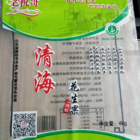 DH   耐冷冻印刷袋   PE包装袋价格   pe印刷袋  定制PE印刷袋