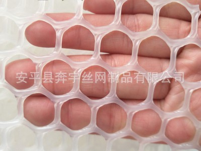 塑料网托  晾晒塑料网  食品级塑料