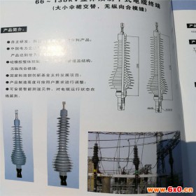 宁波，长缆，110kV长缆电工户外型电缆终端价格