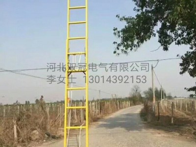 双冠 电工专用绝缘登梯 绝缘单梯3米
