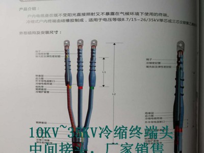 长缆电工 长沙长缆附件厂-高压冷缩电缆户外终端价格