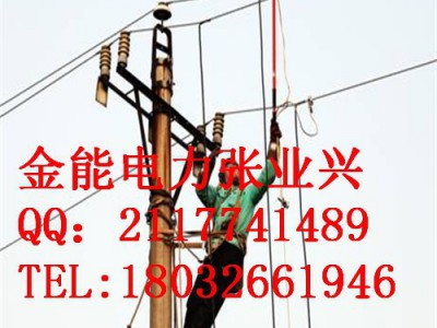 直销河南洛阳电工【个人安保线】//国标35KV25平方紫铜线