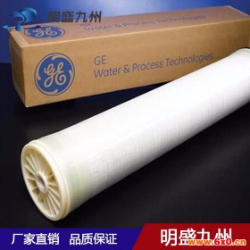 GE/通用电气 纳滤膜