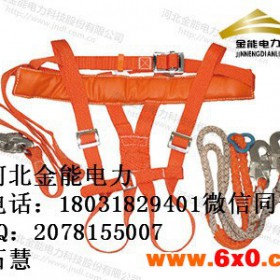 金能厂家供应电工安全带标准 电工安全带系发图片