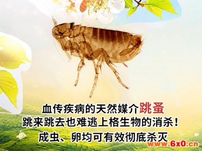上海专业杀虫，为您消灭家居害虫 上