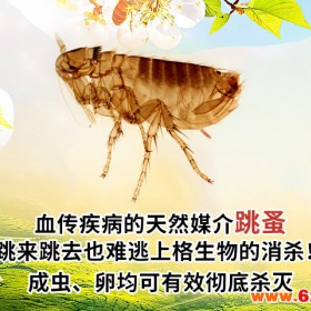 上海专业杀虫，为您消灭家居害虫 上海灭鼠价格
