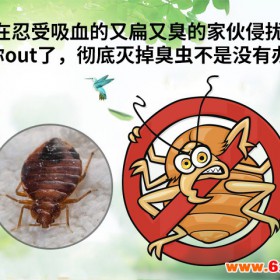 上海家居杀虫 上海蟑螂驱除 上海白蚁防治中心