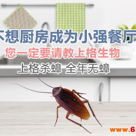 上海家居杀虫 上海灭跳蚤公司 上海抓耗子公司