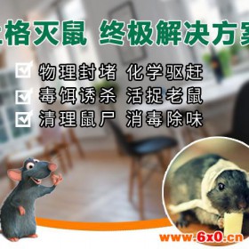 上海杀灭老鼠 上海专业除蟑螂，为您消灭家居害虫