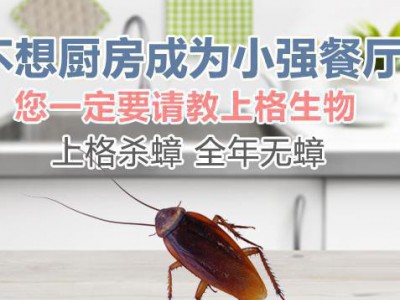上海专业的家居螨虫防治公司 上海专