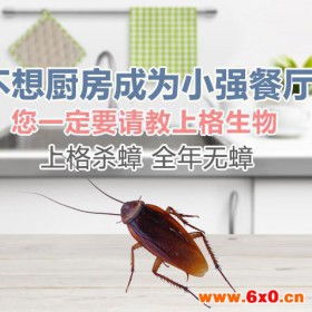 上海专业的家居螨虫防治公司 上海专业专业除虫怎么收费