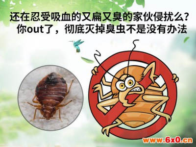 上海专业灭老鼠，为您消灭家居害虫 