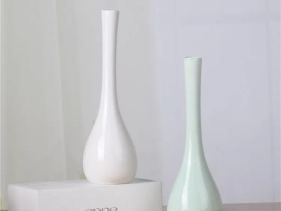 花瓶 玻璃花瓶 玻璃花插 花插 家居