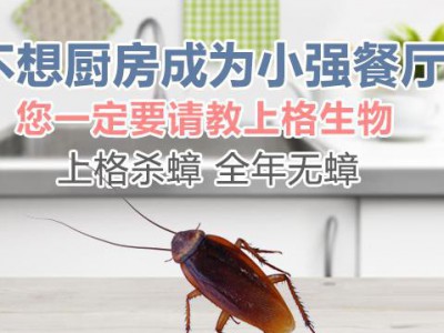 上海除白蚁办公室 上海办公室灭白蚁