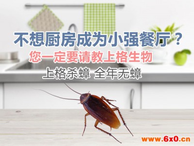 上海办公室灭白蚁 上海办公室灭鼠 上海除虫灭鼠