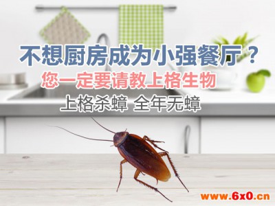 上海家庭灭白蚁公司 上海办公室灭白
