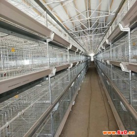 华顺鸡笼设备小层叠蛋鸡笼  集中管理，节约能源和资源