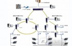 正维科技WISE系列工业以太网解决方案——轨道交通通信系统