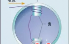 分析：基于MCU和DSP的步进电机控制技术