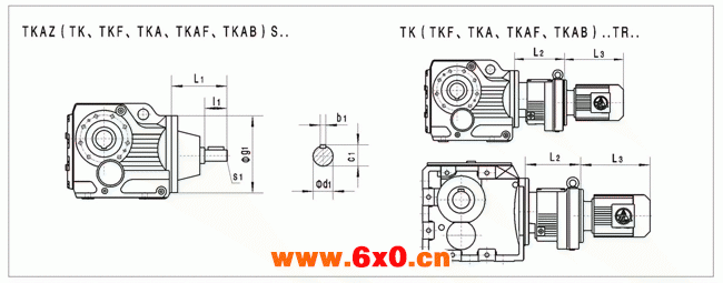 Tk系列螺旋伞减速机