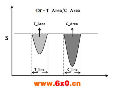 小麦23.jpg