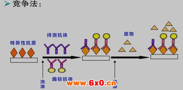 小麦1.jpg