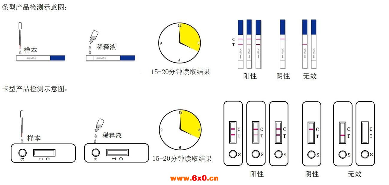小麦.jpg