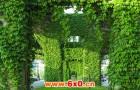 小型数码变频发电机带你“绿色出行”