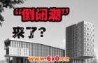 面板有望旺到明年
