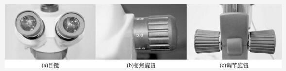 显微镜部件.jpg