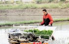 操作农机时要注意什么？