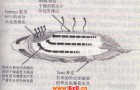 水稻真空低温烘干机的创新研发及性能介绍
