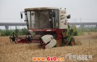 小麦籽粒收获及秸秆打捆一体化技术试验成功