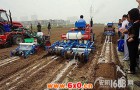 根茎作物机械化关键技术和装备