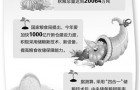 科学储粮，让粮食持久保鲜