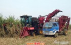 首台国产切断式双行甘蔗收割机在广西投入使用
