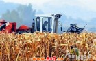 高平农民造出自走式谷子联合收割机