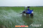 4项粮食行业自主创新成果和技术公布