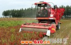 菏泽成武县首次引进辣椒收获机减少采摘成本