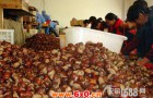 北京怀柔农民张泽林发明全自动板栗烘烤机
