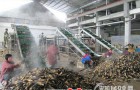 浙江临安：成功研制自动化联合剥笋机