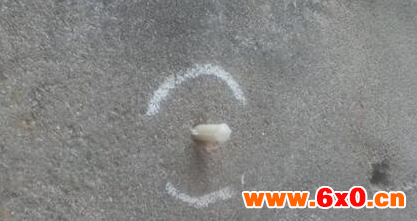 膨胀螺丝,膨胀螺栓,螺丝,螺栓