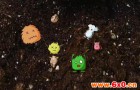 抗生素抗性可在土壤细菌中自然发生