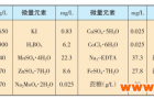 LB培养基和MS培养基的比较与区别