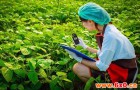 手持式气象仪揭示气象环境对农作物的影响