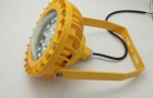 FGV1207-50W白光免维护节能防爆灯正品LED防爆灯