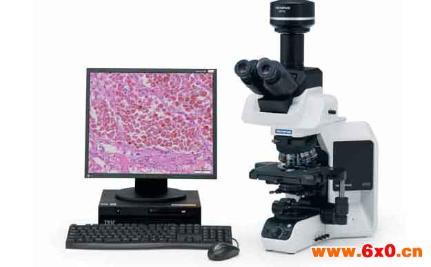 奥林巴斯双目显微镜和三目显微镜的区分